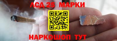 гидропоника Новокубанск