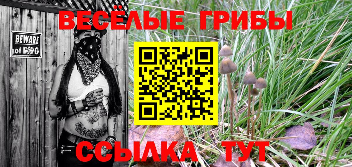 Псилоцибиновые грибы ЛСД Тольятти